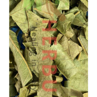 Ackee Leaves - Hemorrhage, Diarrhea, & Diabetes Support - Image 2