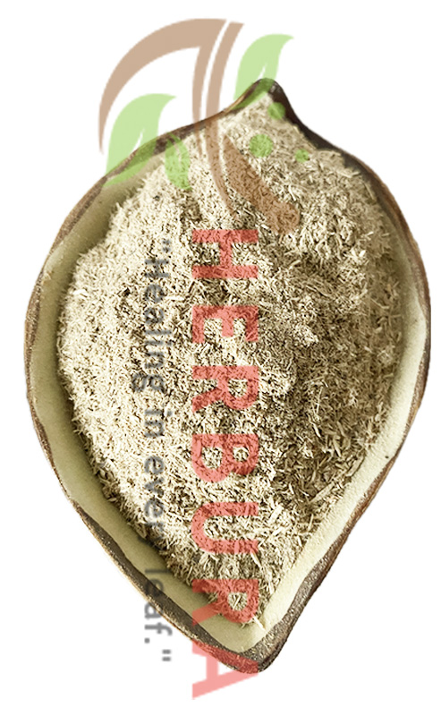 Chew Stick (Gouania Lupuloides) - Gargle for Mouth & Throat Sores