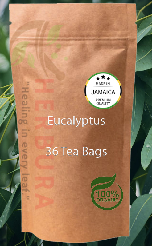 Eucalyptus Tea Bags – Natural Respiratory and Immune Support