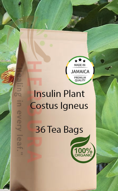 Insulin Plant Tea Bags – Natural Blood Sugar and Wellness Support