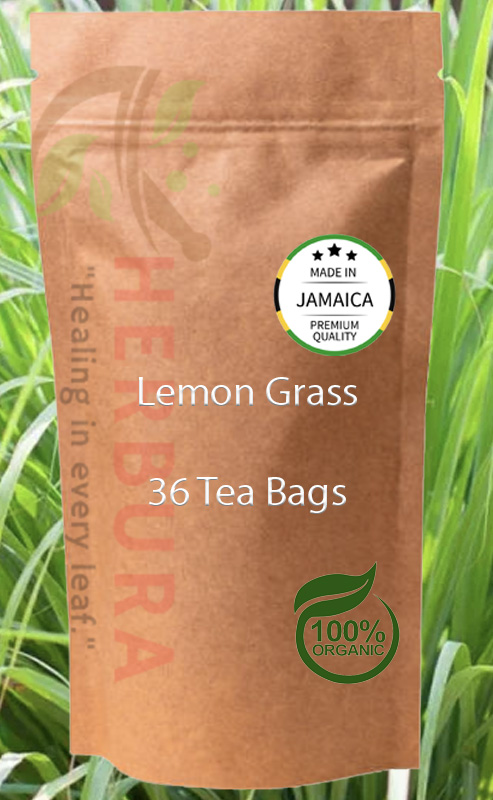 Lemongrass Tea Bags – Calming, Digestive and Immune Support