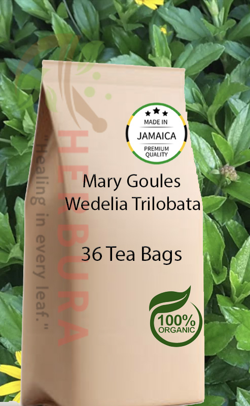 Mary Goules Tea Bags – Immune, Digestive, and Healing Support