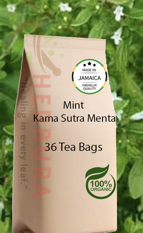 Mint Kama Sutra Menta Tea – Refreshing Herbal Wellness