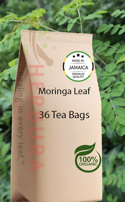 Moringa Leaf Tea – Superfood Herbal Wellness Drink