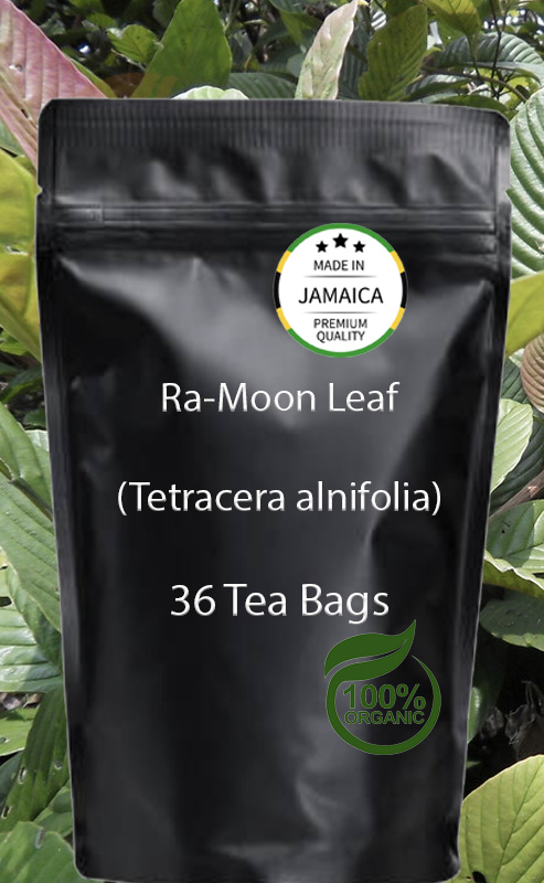 Ra-Moon Leaf Tea Bags – Jamaican Herbal Vitality & Stamina Booster