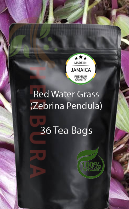 Red Water Grass (Zebrina Pendula) Tea Bags – Kidney & Detox Support