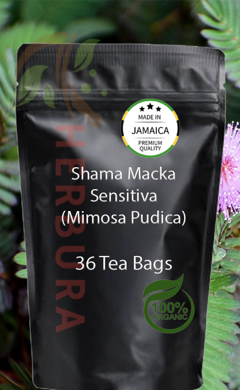 Shama Macka (Mimosa pudica) Tea Bags – Calming & Digestive Support