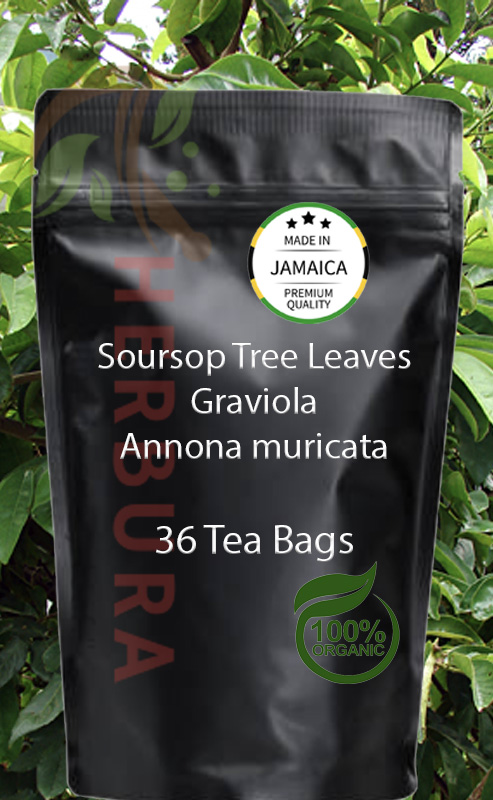 Soursop Leaf (Annona muricata) Tea Bags – Immunity & Relaxation Support