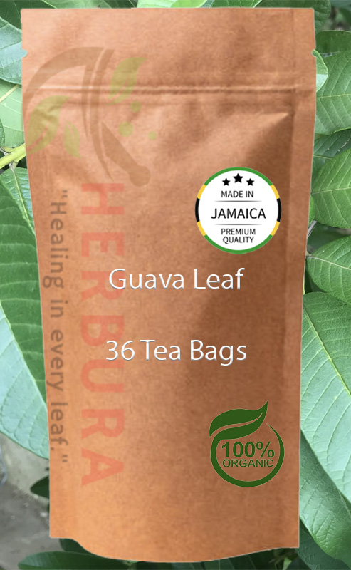 Guava Leaf Tea Bags – Natural Digestive and Immunity Support