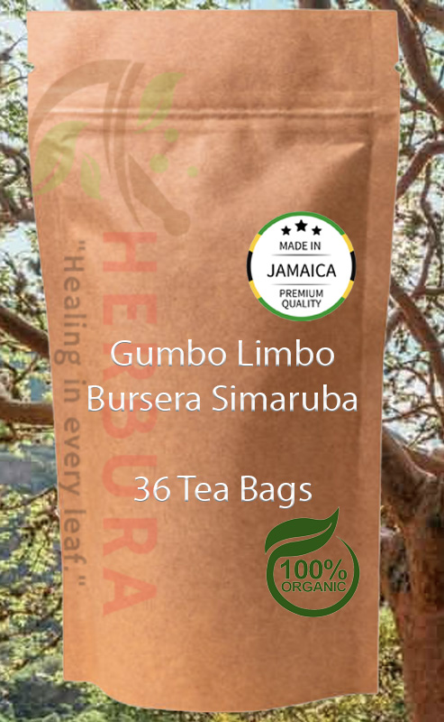 Bursera Simaruba Tea Bags – Immunity, Detox, and Herpes Support
