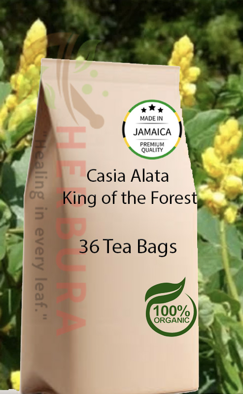 King of the Forest Tea Bags – Colon Cleanse and Detox Support